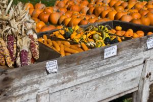 farm stands