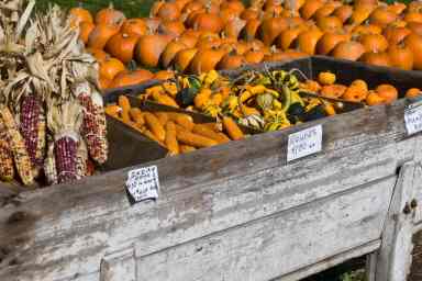 farm stands