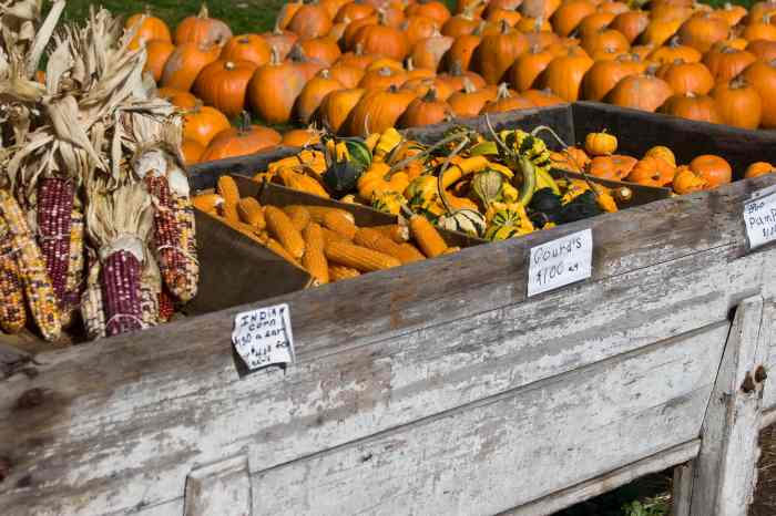 farm stands