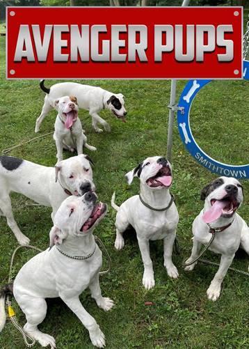 The Avenger Pups