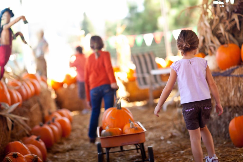 fall festivals