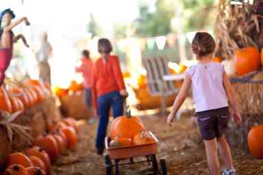 fall festivals