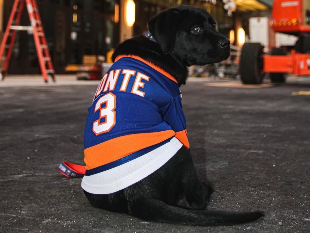 Guide Dog Raised By New York Islanders Matched with Paralympian