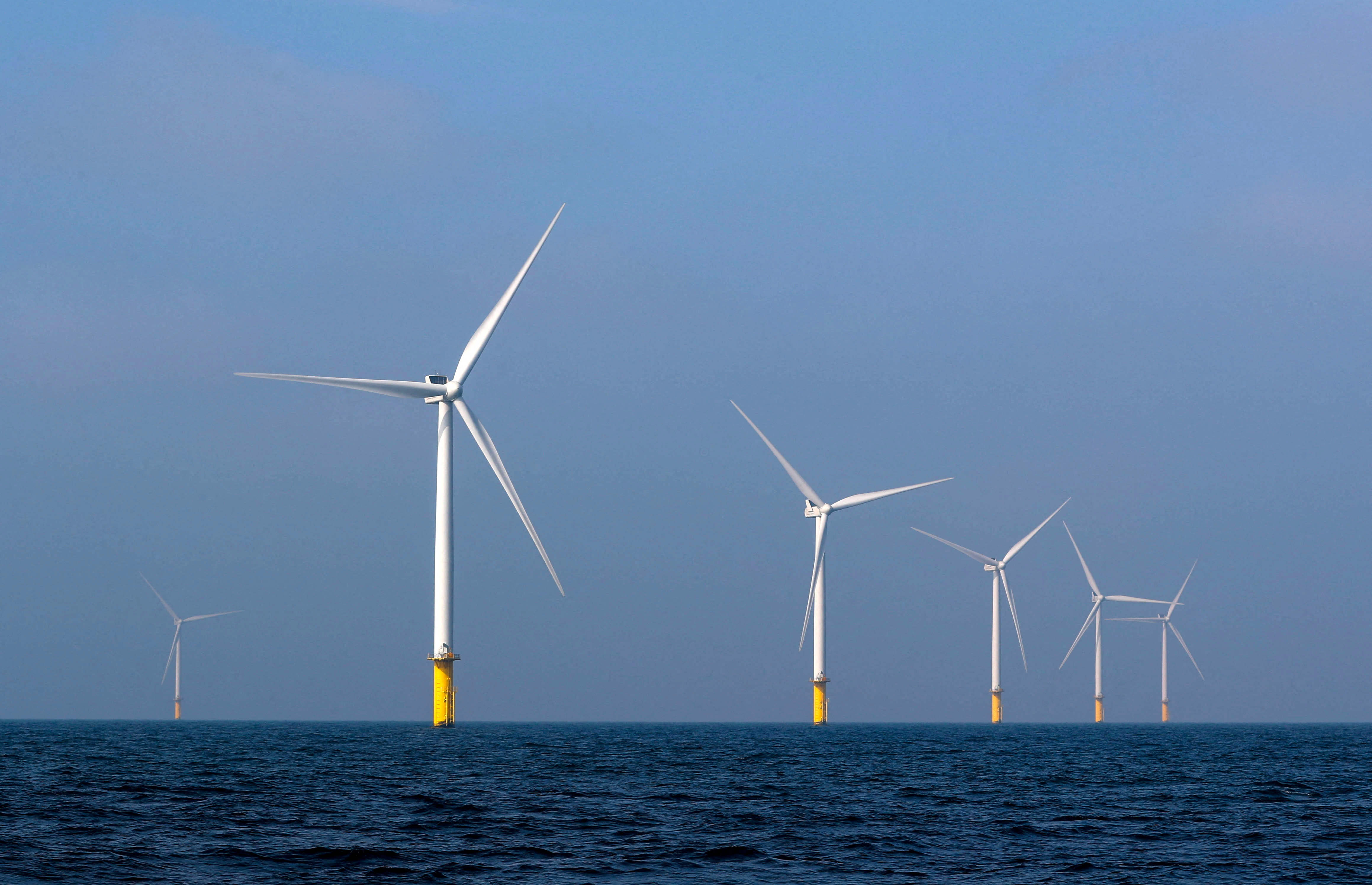 offshore wind auction