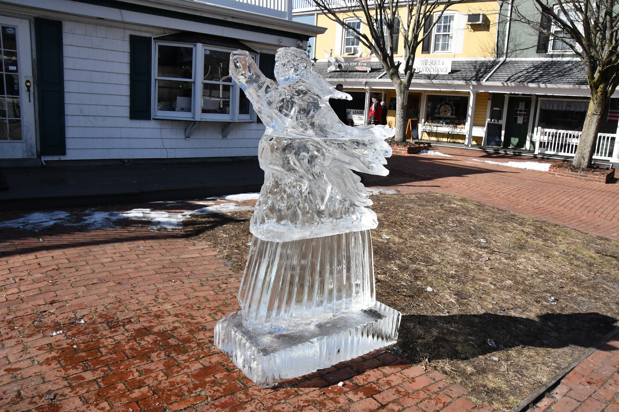 Image 13 Port Jefferson Ice festival