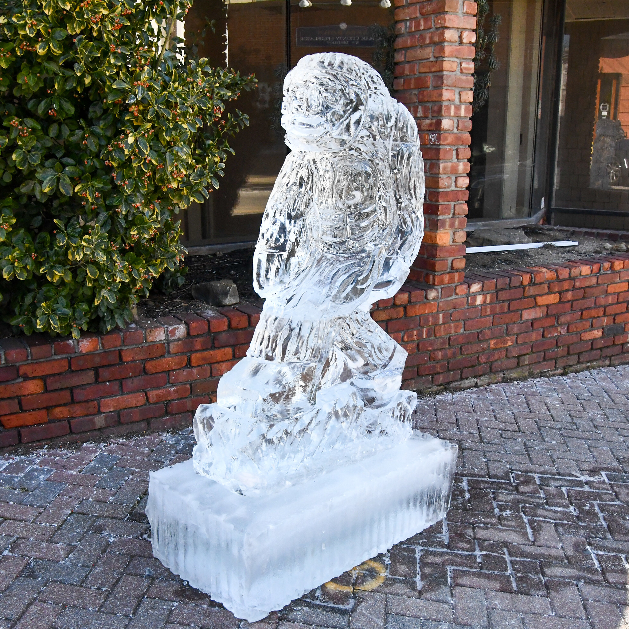 Image 14 Port Jefferson Ice festival