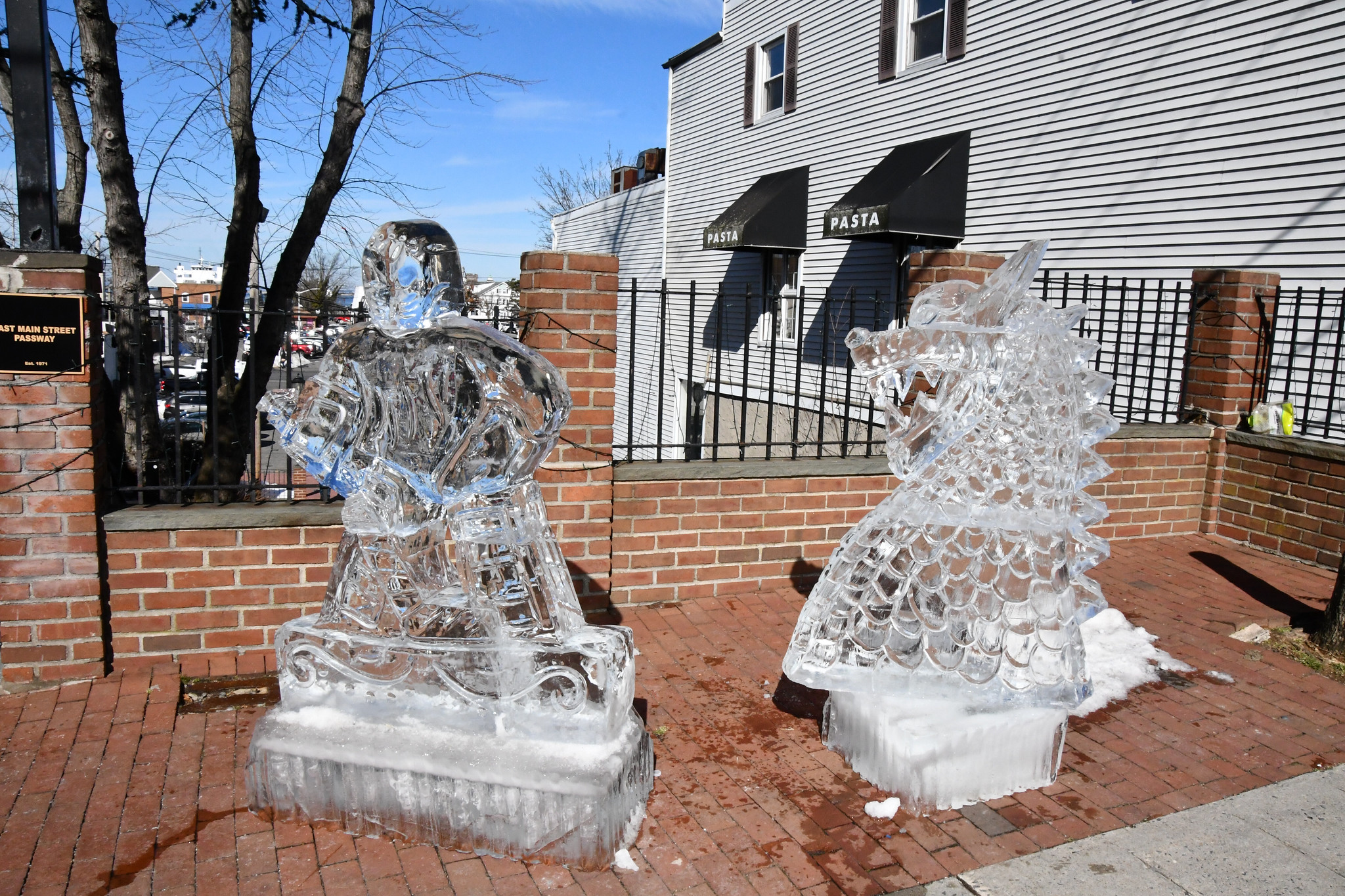 Image 15 Port Jefferson Ice festival