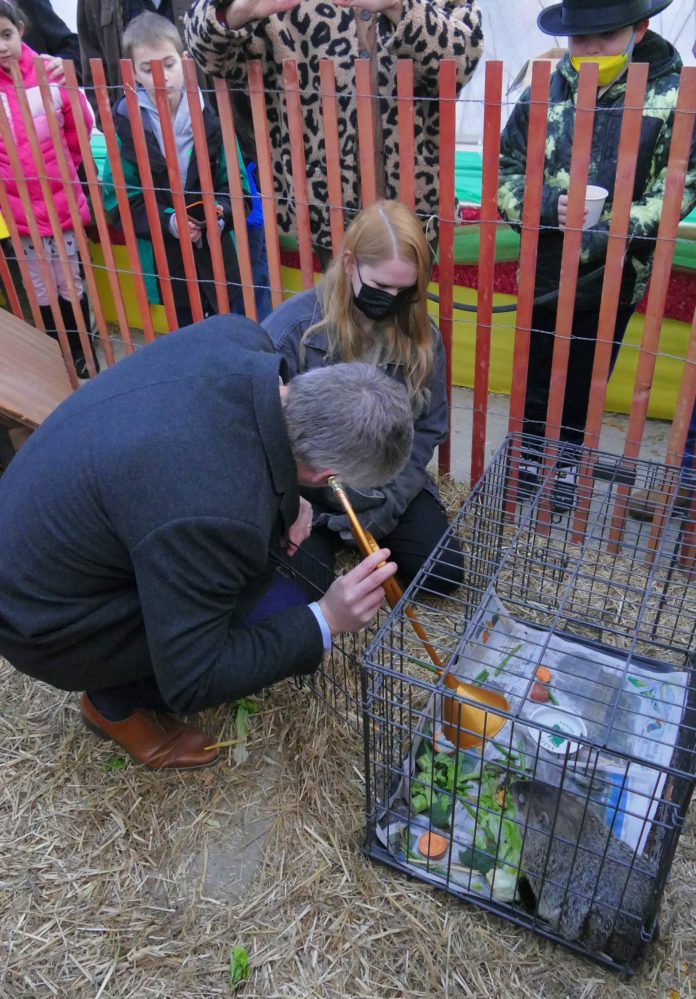 Holtsville Hal, Malverne Mel Disagree on Groundhog Day Prediction