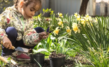 earth day events