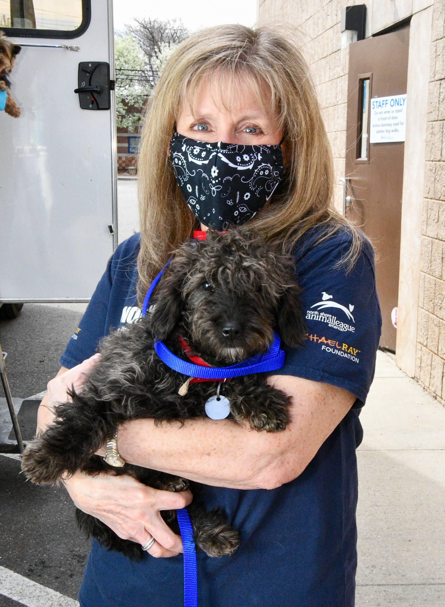 Image 5 Simone Klein with a rescue puppy