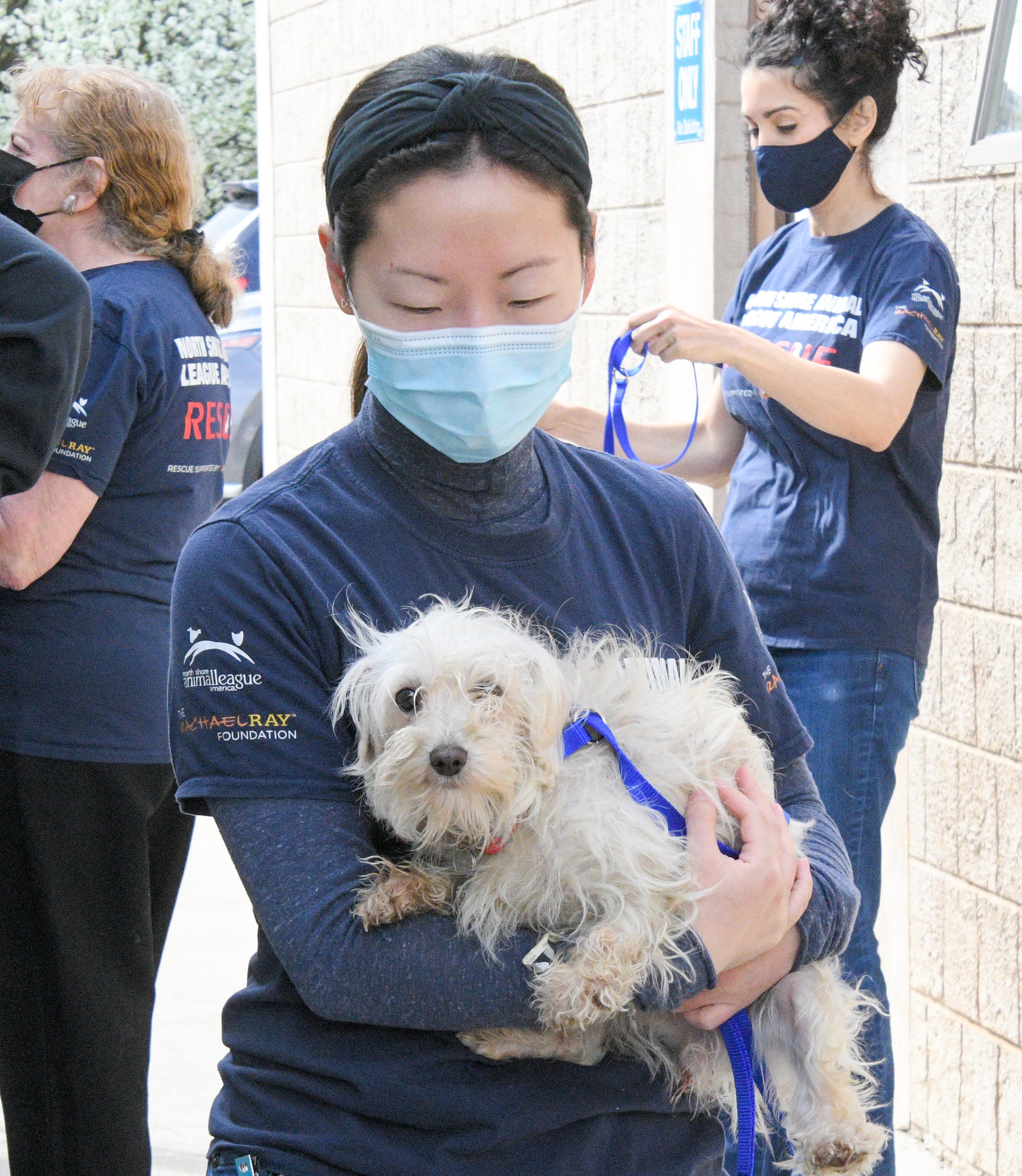 Image 7 Diana Wheeler with a rescue puppy