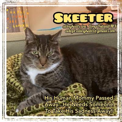 skeeter