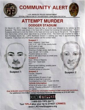 Giants Fan Attacked Baseball