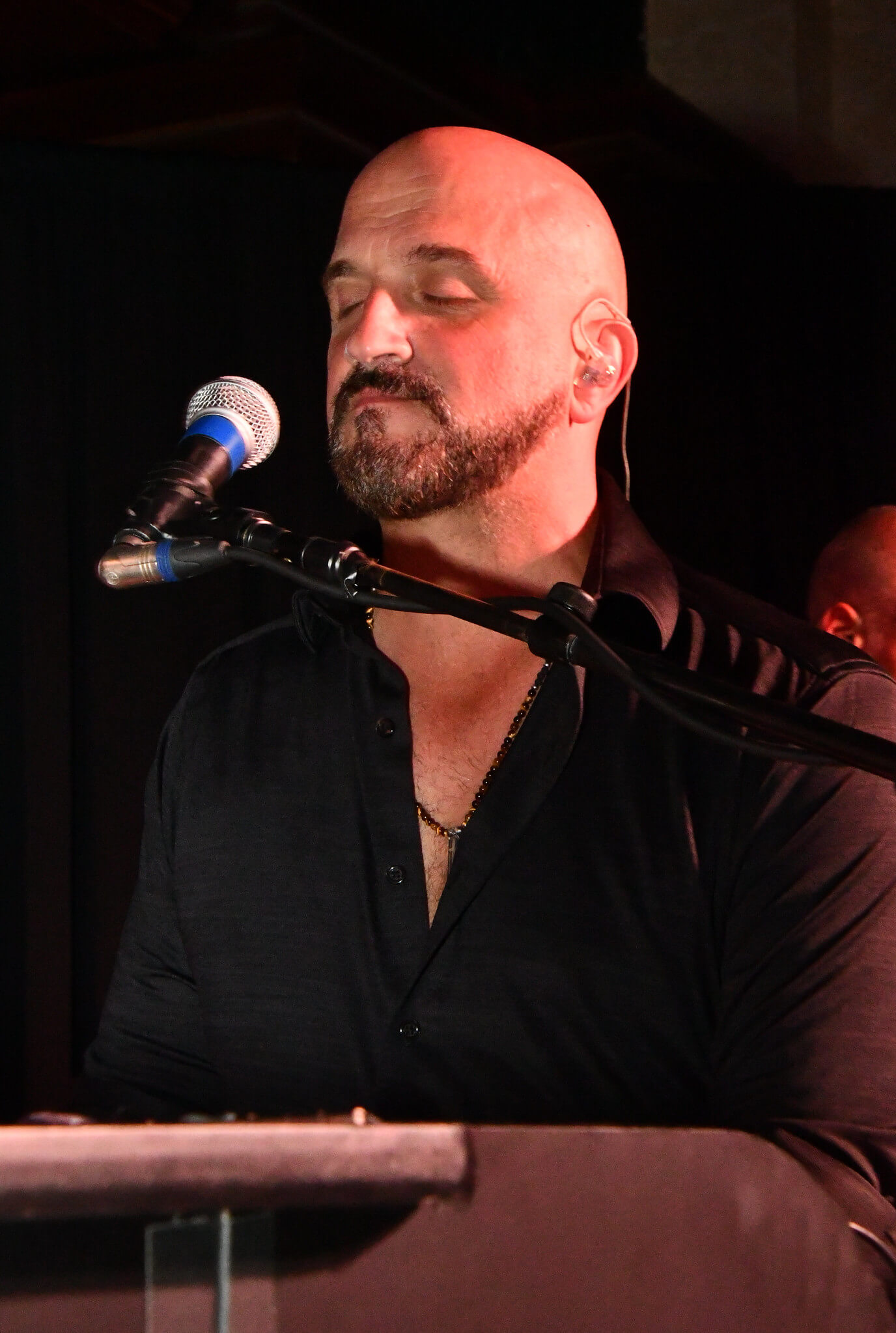 image 8 michael delguidice