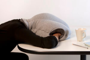 46RunDown OstrichSleepingBag