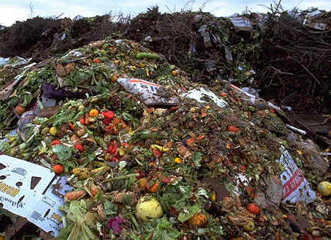 FoodWaste_468x339