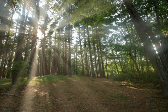 GettyImages 1270331078 1024x683 1