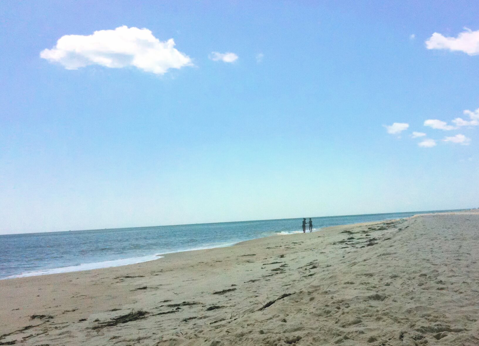 Summer on Long Island???s South Fork