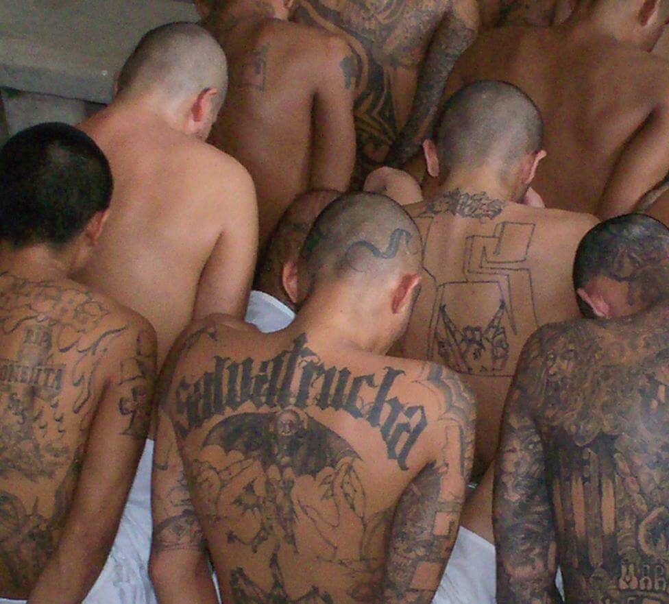 MS13Members