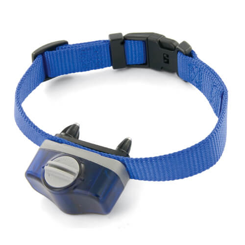 Pet Collar