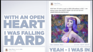 Katy Perry “Wide Awake”