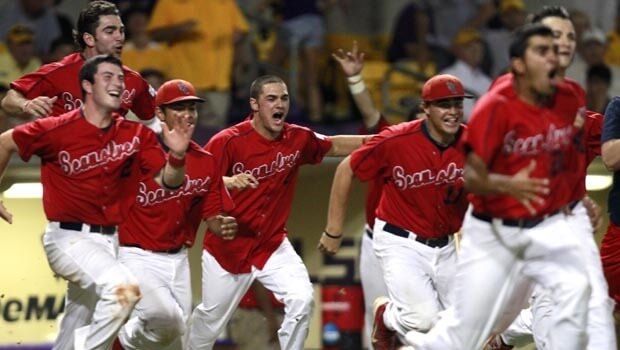 Stony Brook Seawolves