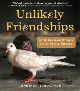 Unlikely Friendships 1