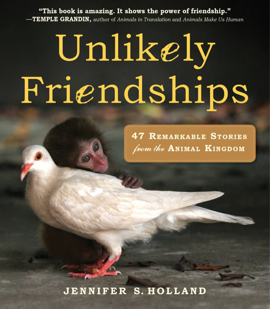 Unlikely Friendships-1