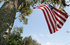 Flag Day