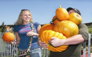 pumpkin picking on long island