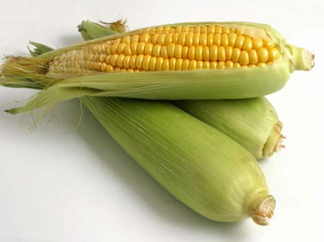 sweet-corn1