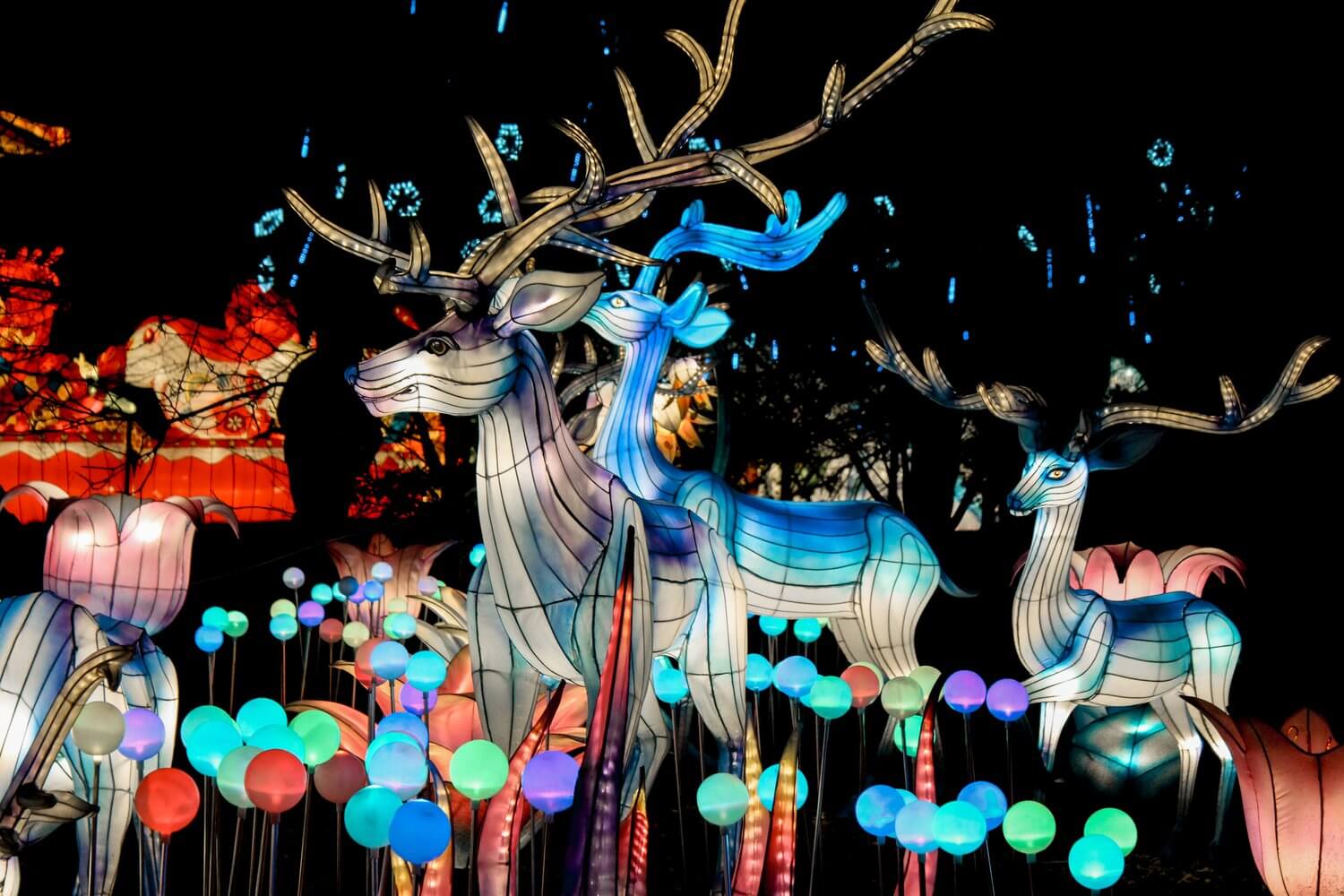 nyc winter lantern festival