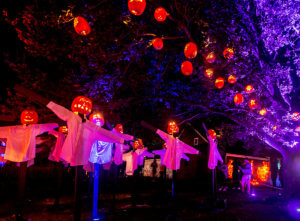 great jack o'lantern blaze