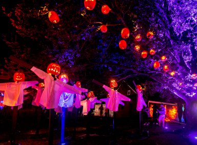 great jack o'lantern blaze