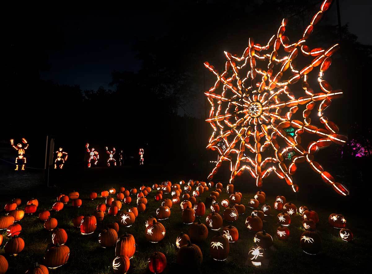 great jack o'lantern blaze