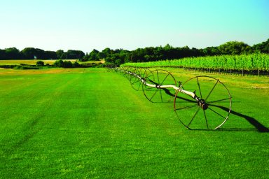 Sod Farm