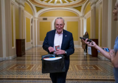 majority leader chuck schumer