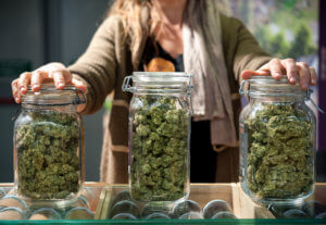 pot shops recreational marijuana
