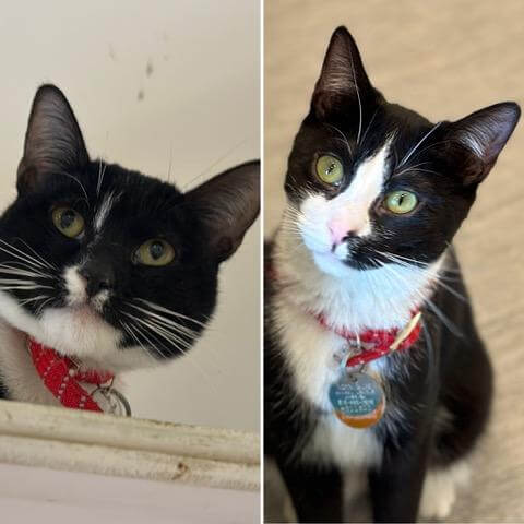 Nikkie and Susie