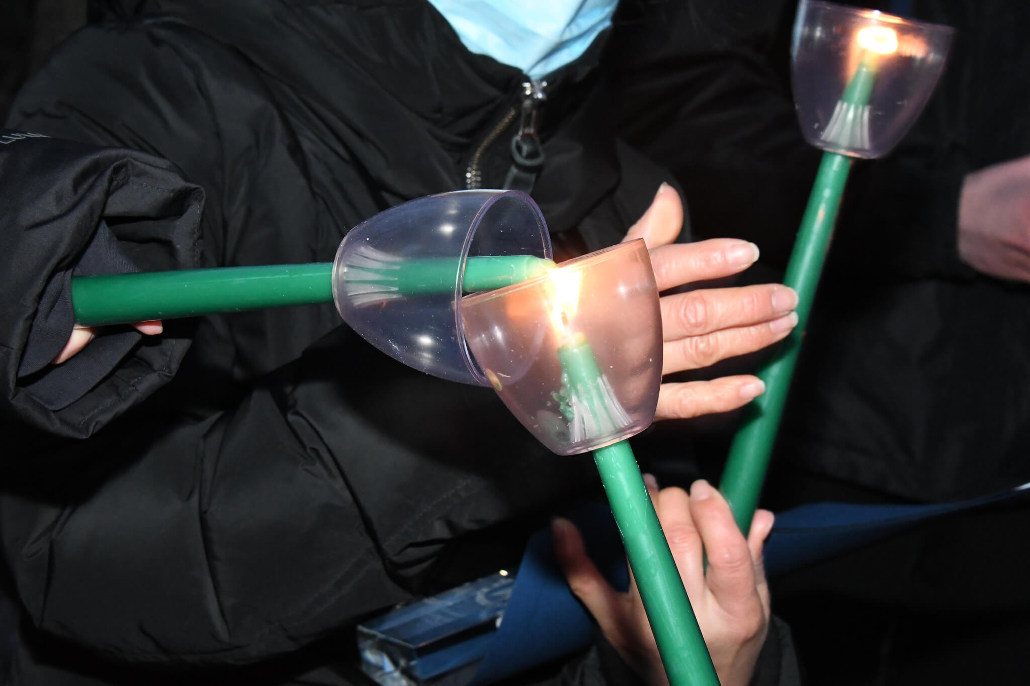 image 12 15th annual garden city bird sanctuary winterfest celebration