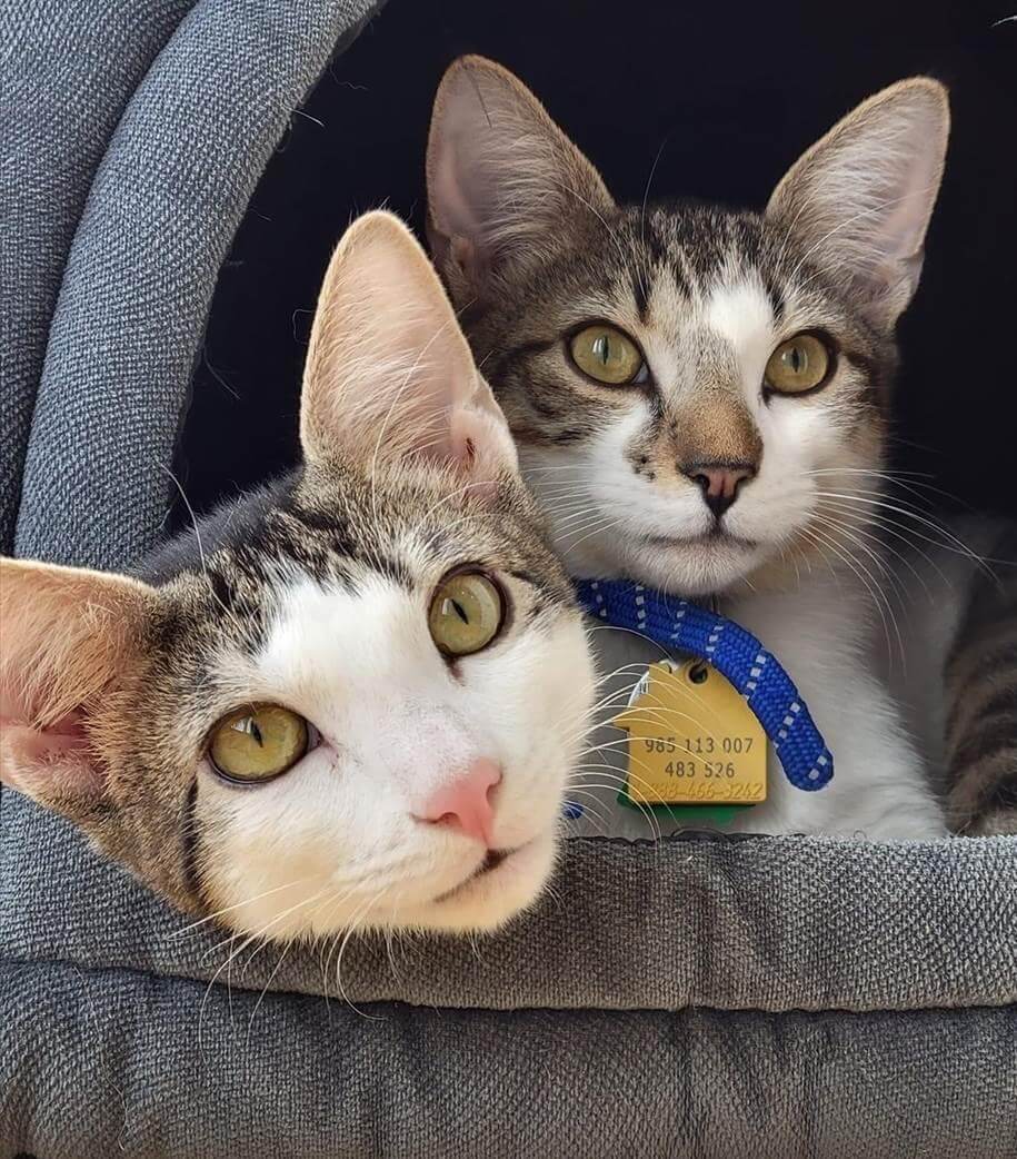 southold and amagansett