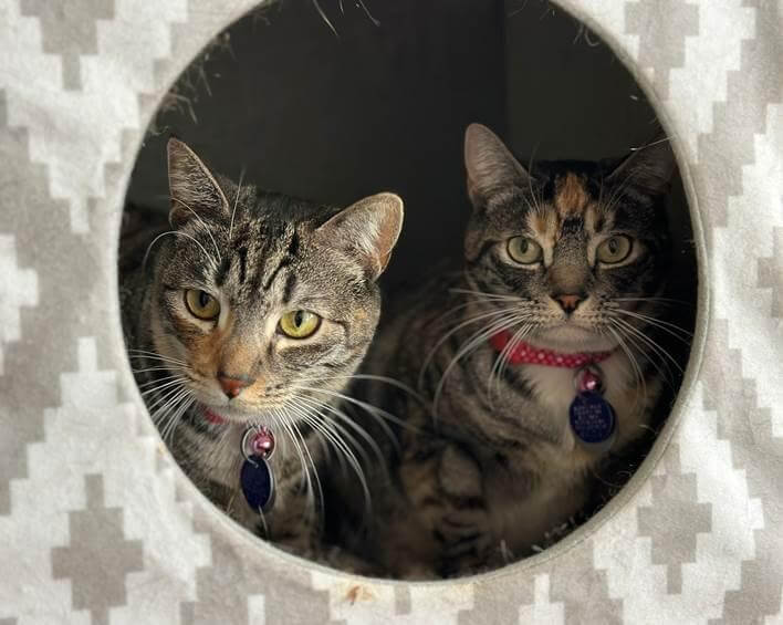 Luna and Leia