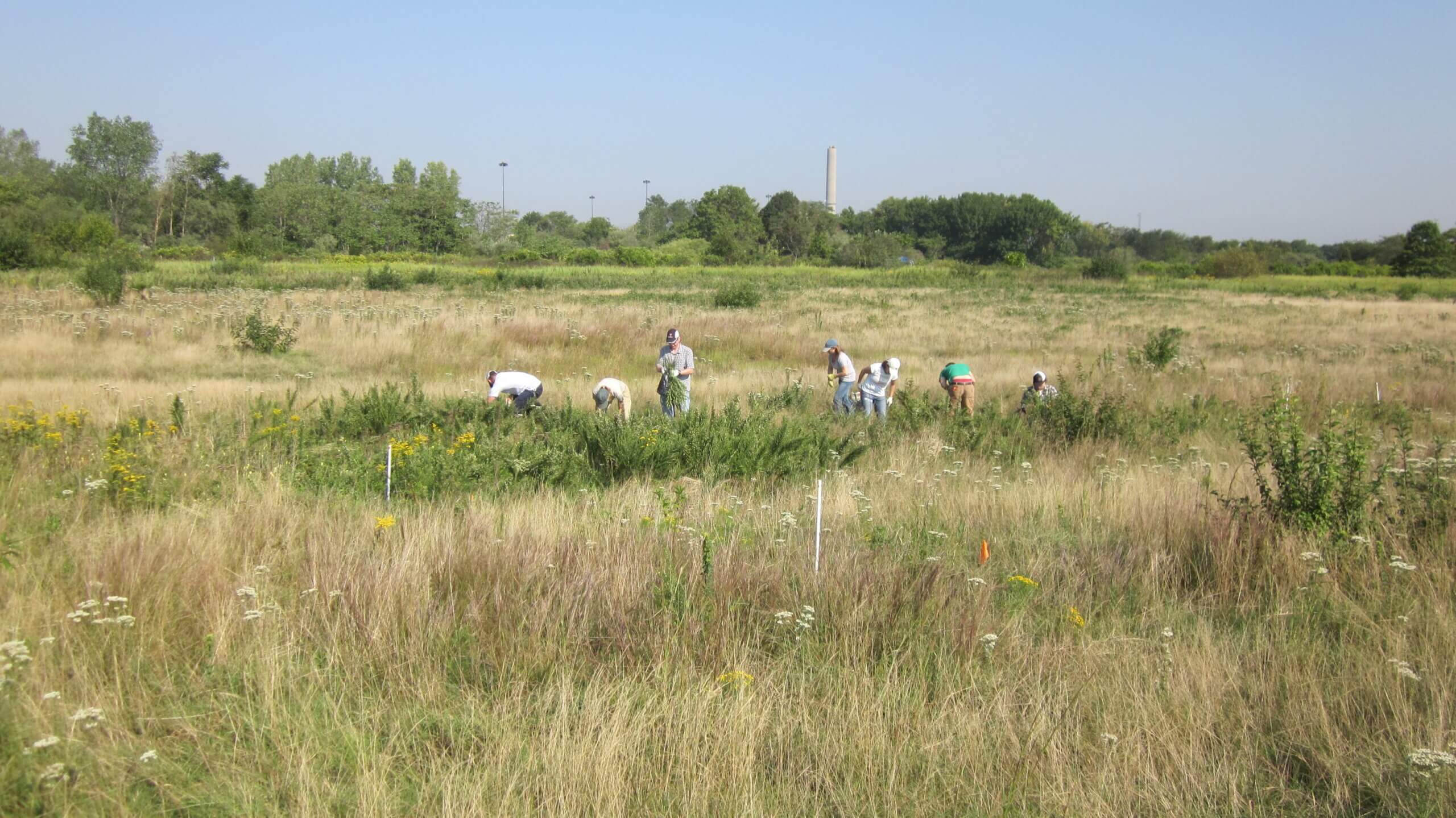 hempstead plains