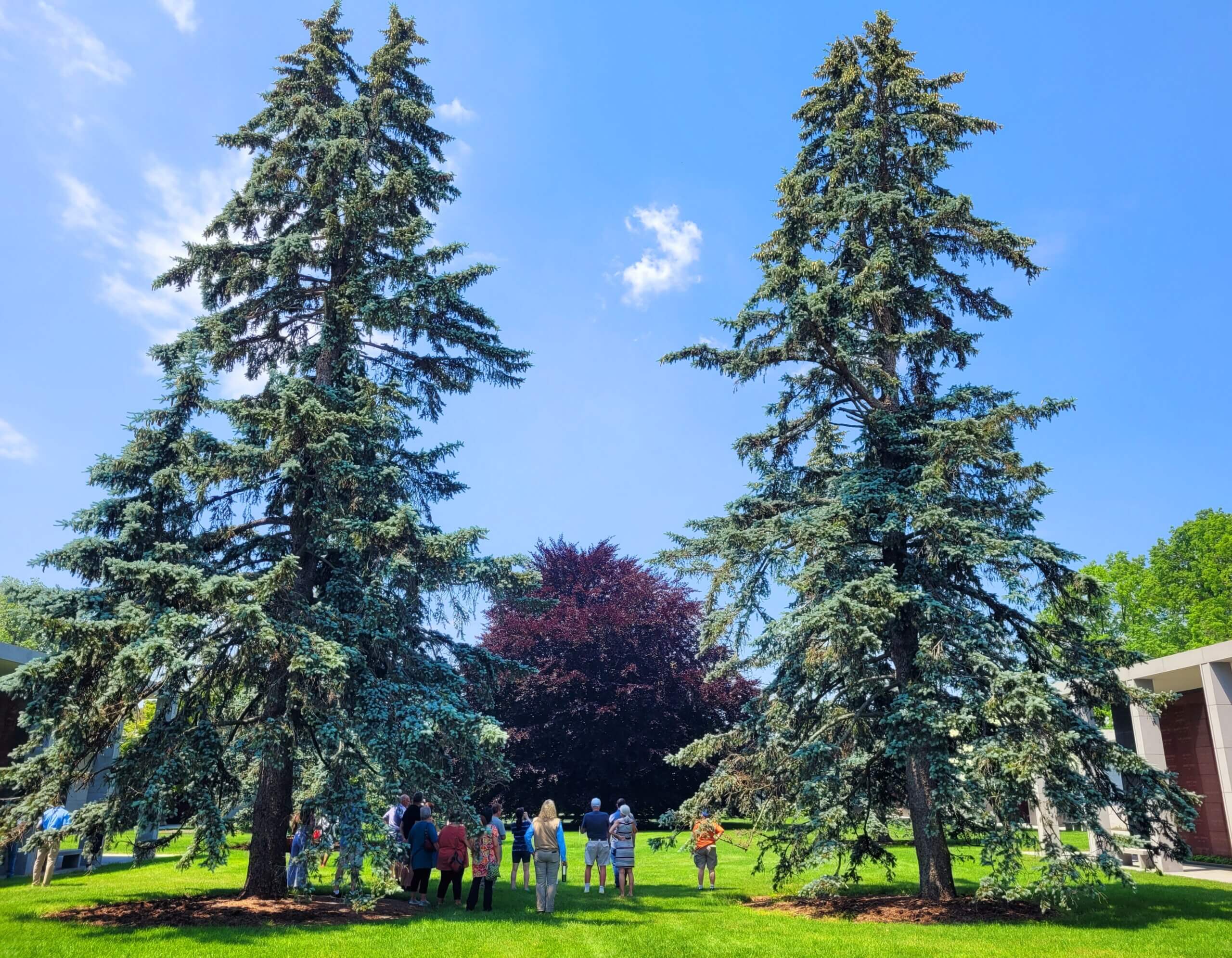 approved arboretum photo scaled