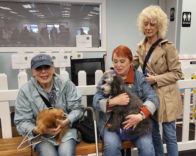 image 5 susan debellas with mia allison borden jacki alvo with kiki