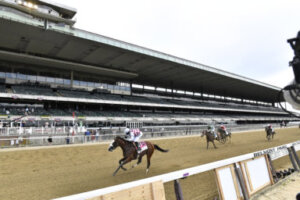 tiz the law the belmont stakes 6 384x256 1