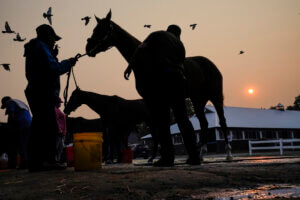 belmont stakes