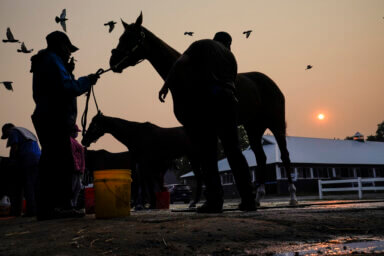 belmont stakes