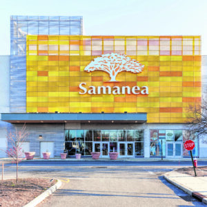 Samanea 1