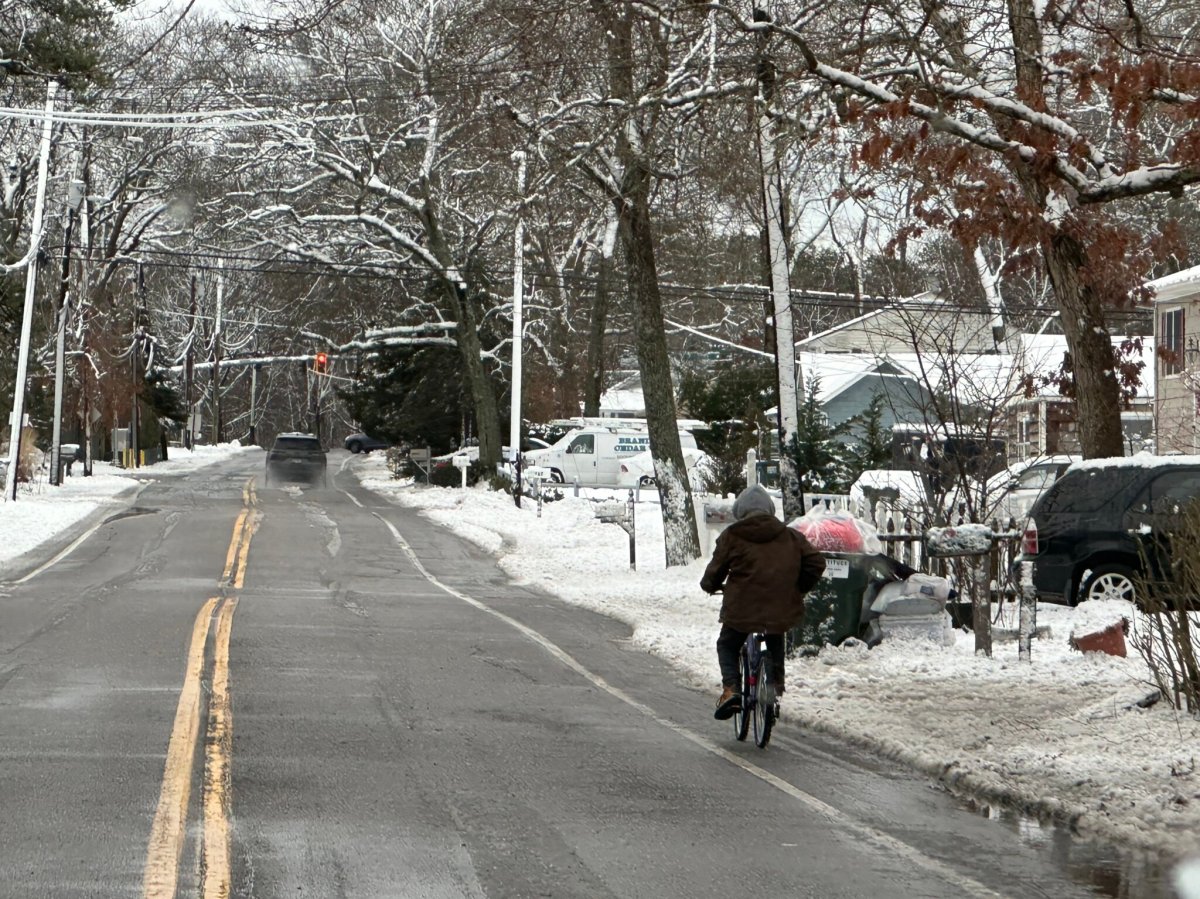 snowfeatured